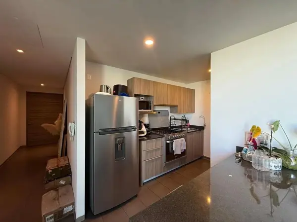 Departamento en venta en Granada, Miguel Hidalgo — foto 3 de 11