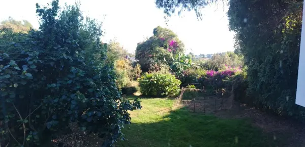 Casa en renta en Santa Maria Ahuacatitlan, Cuernavaca — foto 3 de 9