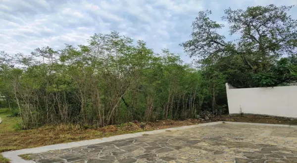 Terreno en venta en El Pueblito de Santiago, Santiago — foto 3 de 29
