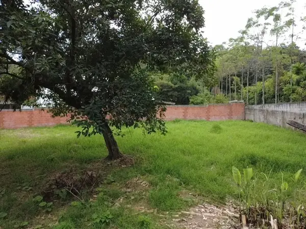 Terreno en venta en Briones, Coatepec — foto 3 de 6