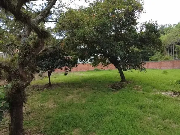 Terreno en venta en Briones