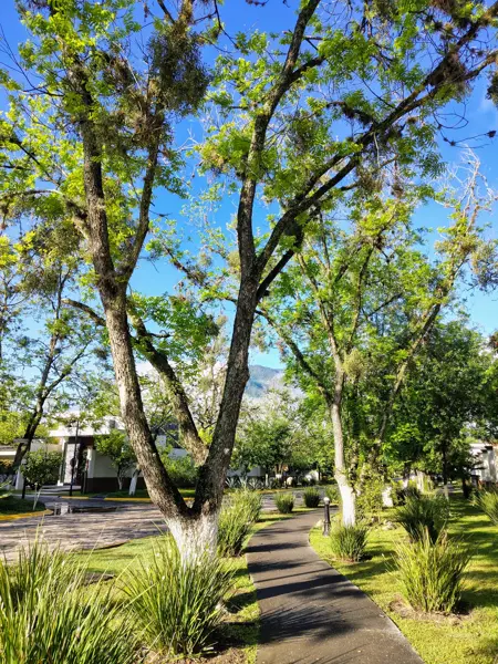 Exclusivo Terreno de 945.55 M² en el Corazón de el Pueblito de Santiago, Santiago, N.l. — foto 1 de 30