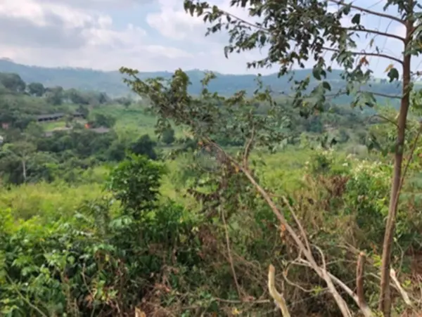 Terreno en venta en Parcela 44, Poza Rica de Hidalgo — foto 3 de 4