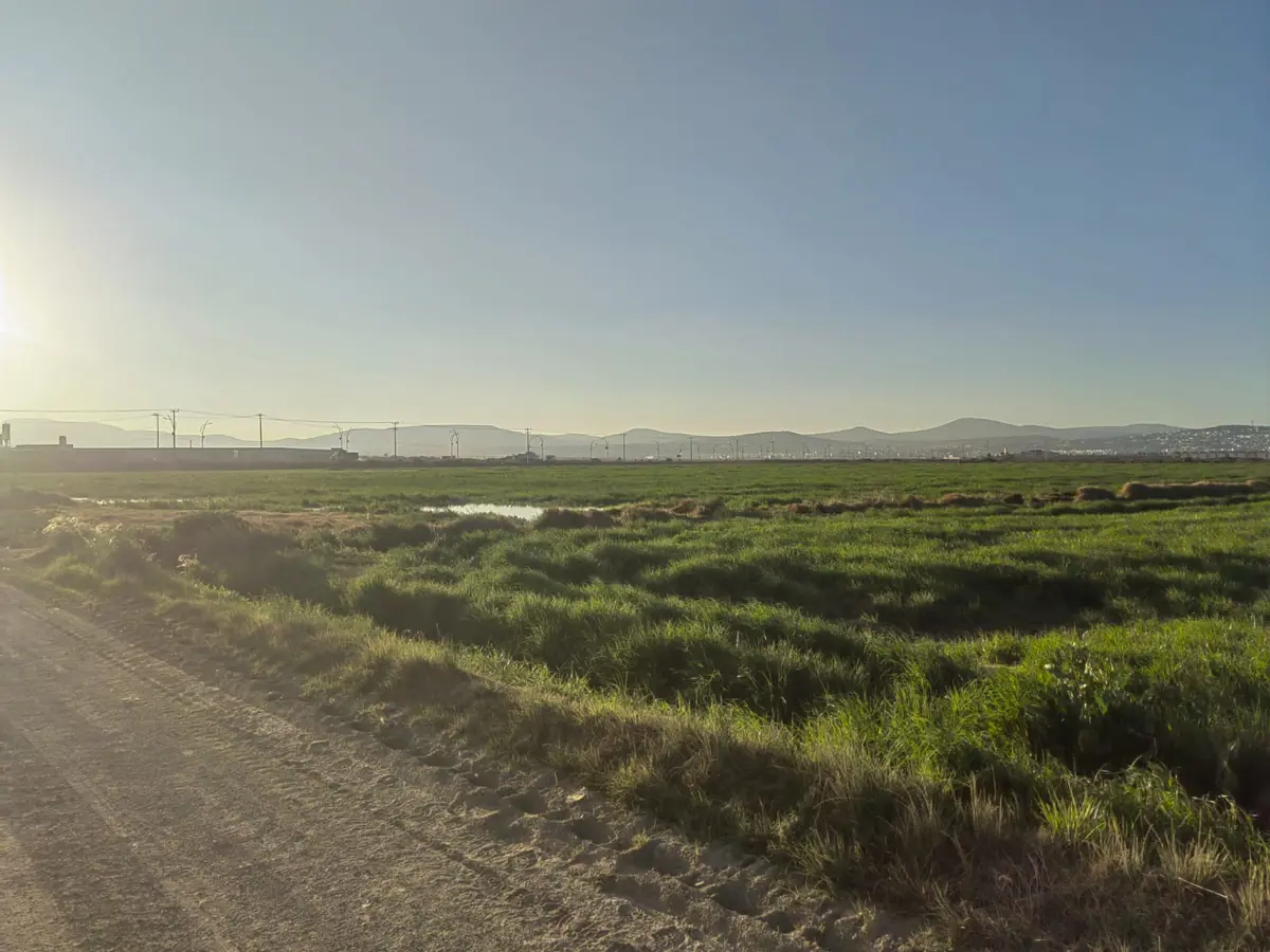 Terreno en venta en Jagüey de Tellez (estacion Tellez), Zempoala — foto 1 de 5