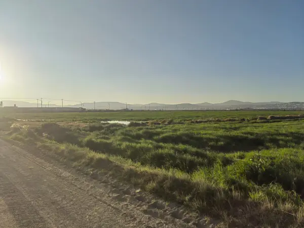 SE VENDE PARCELA BIEN UBICADA A UNOS METROS DE LA CARRETERA HACIA  TELLEZ, ZEMPOALA HGO.