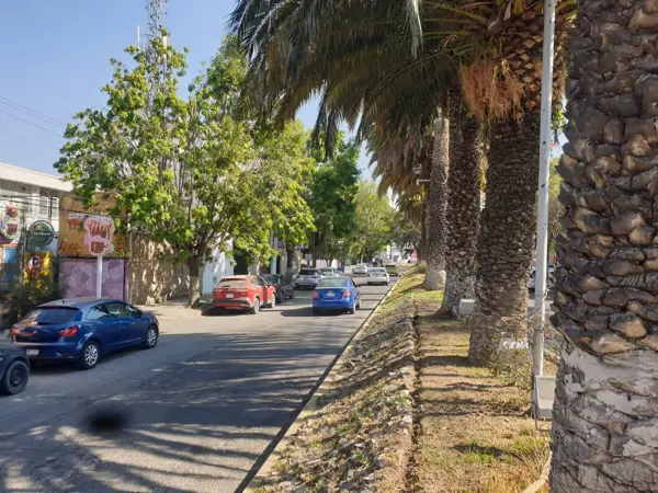 Casa en renta en Centro, Pachuca de Soto — foto 2 de 6