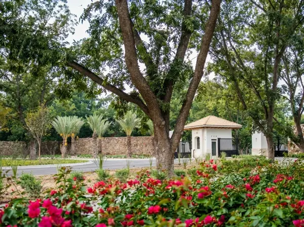Terreno en venta en Peña Alta, Saltillo — foto 2 de 6
