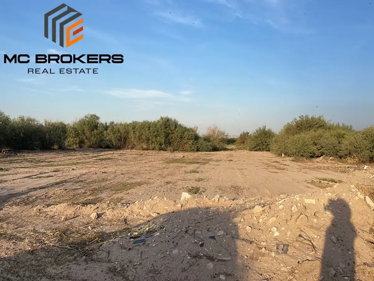 Terreno en venta en El Olivo, Matamoros — foto 1 de 2