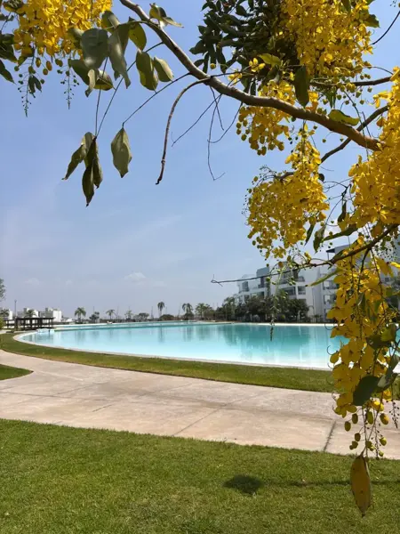 Casa en venta en Cascadas Cocoyoc, Yautepec — foto 2 de 15