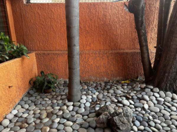 Departamento en venta en Chapalita, Guadalajara — foto 3 de 18