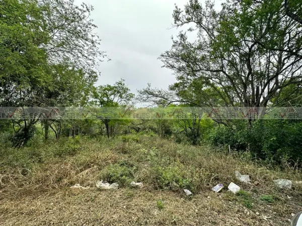 Terreno en venta en El Pastor, Montemorelos — foto 2 de 8