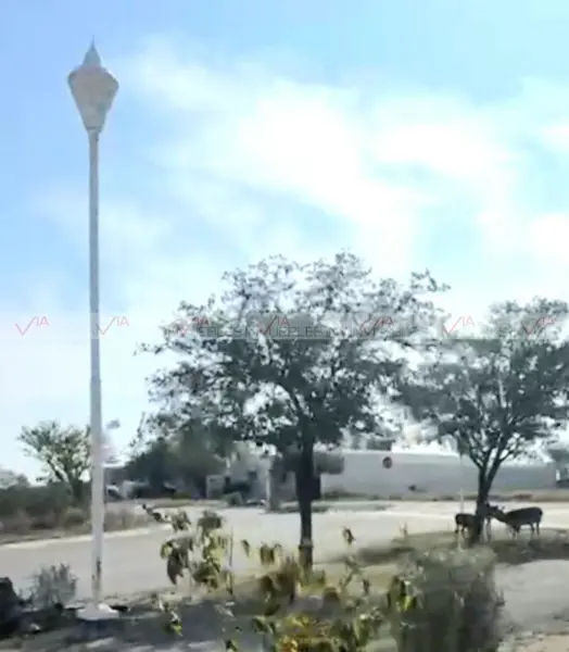 Terreno en venta en Hacienda San Pedro, General Zuazua — foto 3 de 8