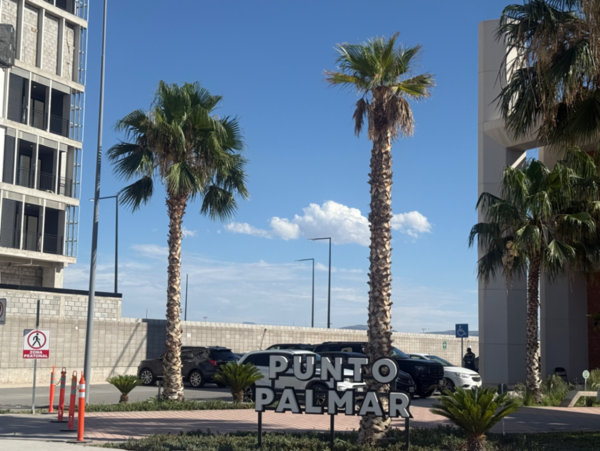 Terreno en venta en La Union, Torreón — foto 2 de 8