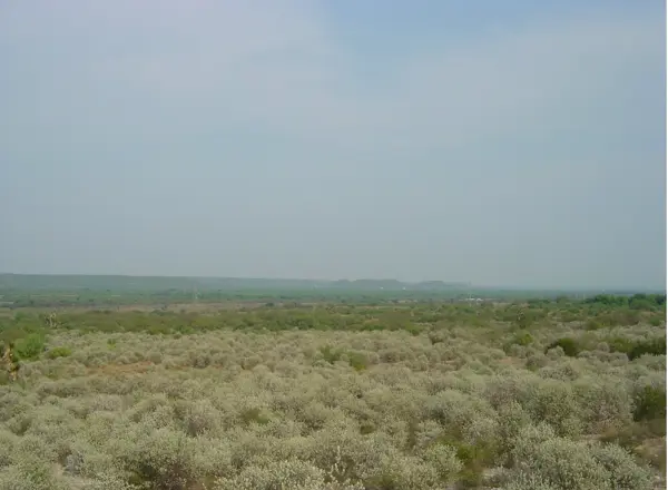 Terreno en Venta en Marín, Marín, Nuevo León 5