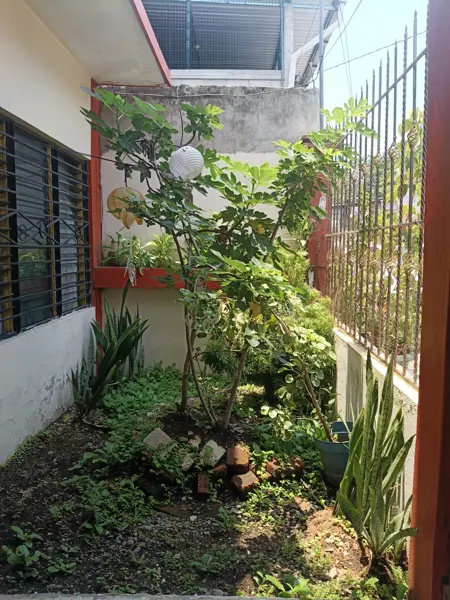Casa en venta en Reforma, Tapachula — foto 3 de 11