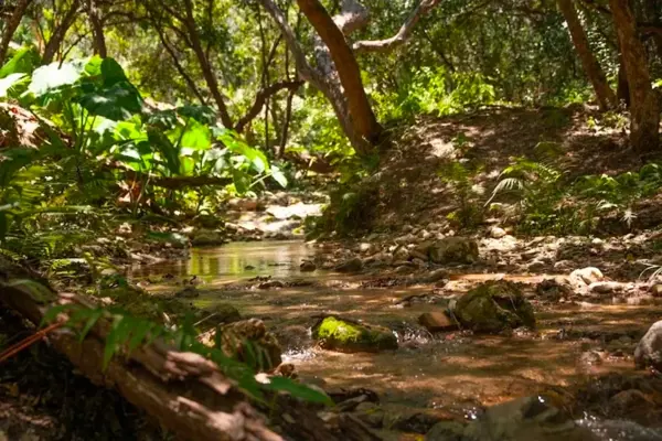Terreno en venta en Manantial del Vergel, Santiago — foto 3 de 8