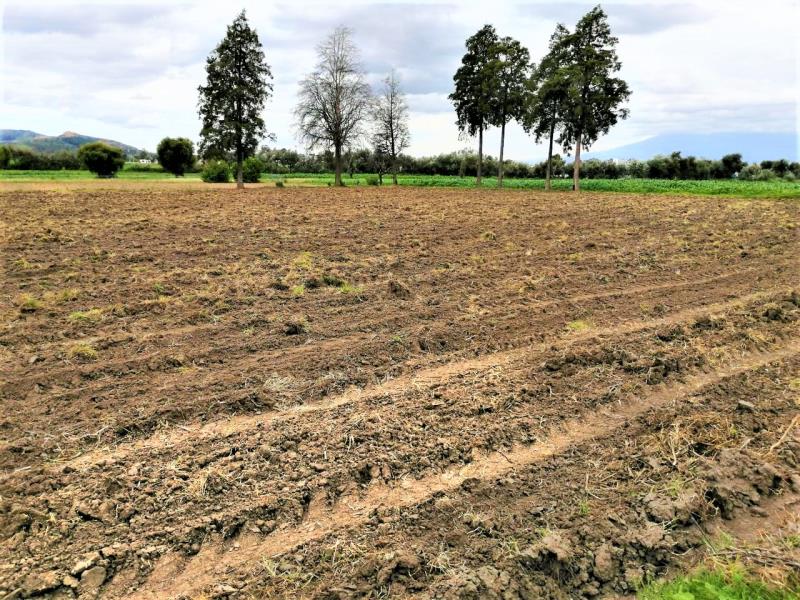 Terreno en venta en San Francisco Acatepec, San Andrés Cholula — foto 1 de 4