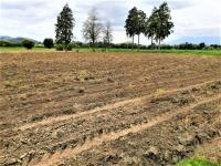 Terreno en venta en San Francisco Acatepec, San Andrés Cholula, Puebla