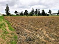 Terreno en venta en San Francisco Acatepec, San Andrés Cholula — foto 2 de 4