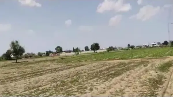 Terreno en venta en Zerezotla, San Pedro Cholula — foto 3 de 5