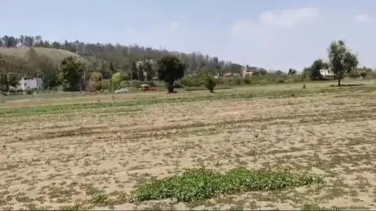 Terreno en venta en Zerezotla, San Pedro Cholula — foto 1 de 5