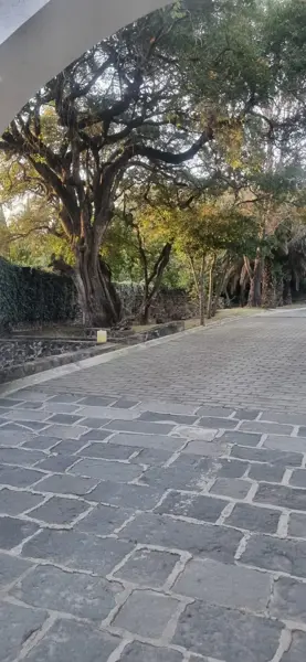 Terreno en venta en San Agustin Calvario, San Pedro Cholula — foto 3 de 7