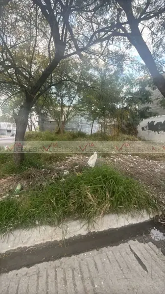 Terreno en venta en San Antonio, Juárez — foto 3 de 8