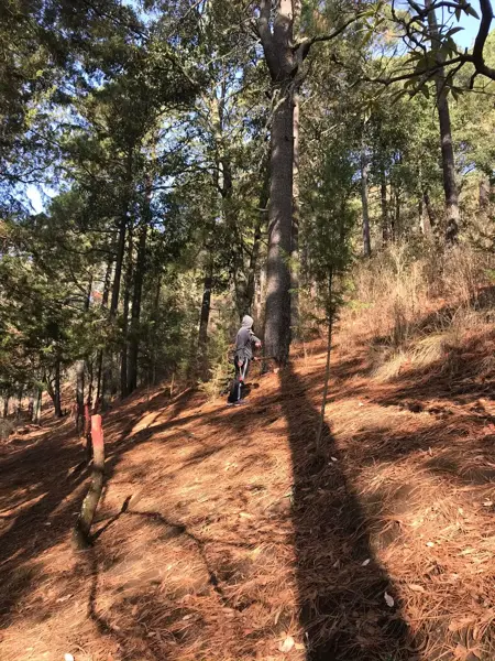 Terreno en venta en Santa Rita Tlahuapan, Tlahuapan, Puebla