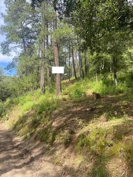 Terreno en venta en Santa Rita Tlahuapan, Tlahuapan — foto 2 de 3