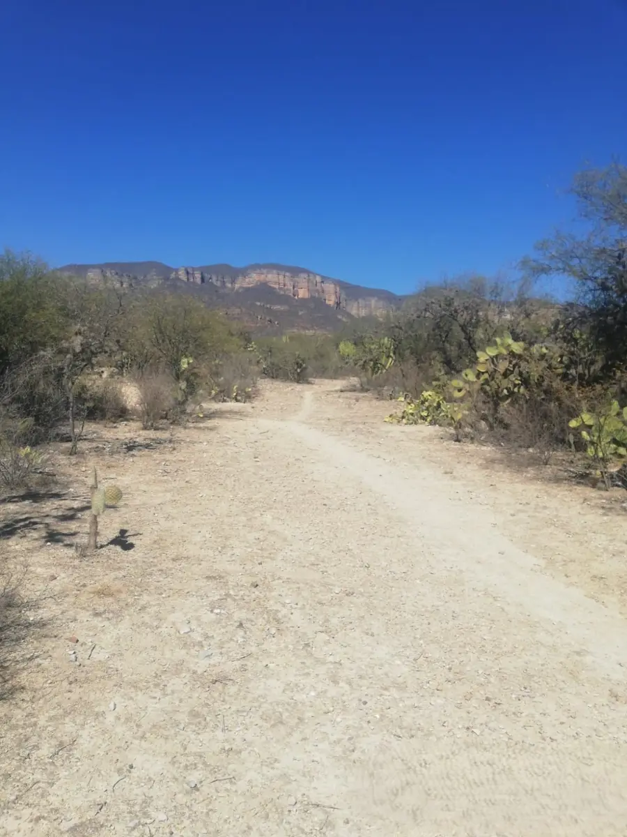 Terreno en venta en Tehuacán (Tehuacán), Tehuacán — foto 1 de 8