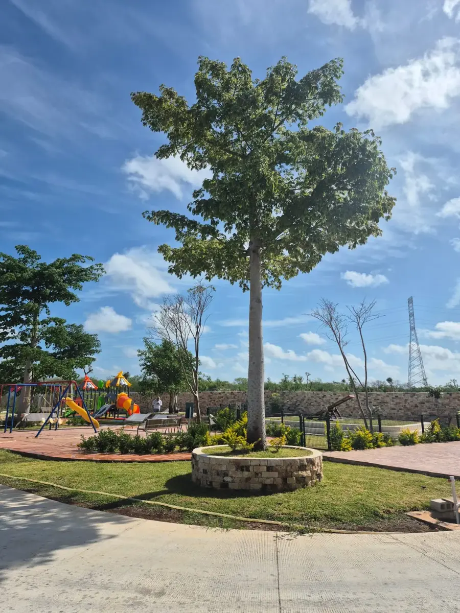 Terreno en venta en Cholul, Mérida — foto 1 de 17
