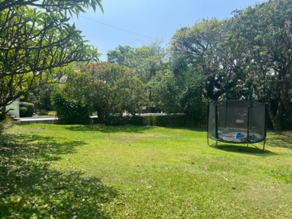 Casa en renta en Jardines de Delicias, Cuernavaca — foto 2 de 19