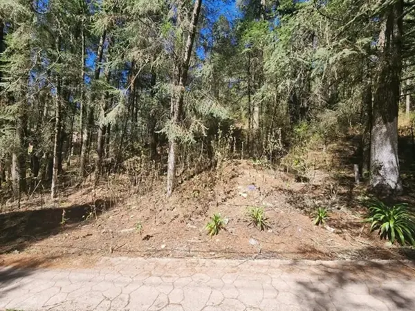 Terreno en venta en Mineral del Monte Centro, Mineral del Monte — foto 3 de 5