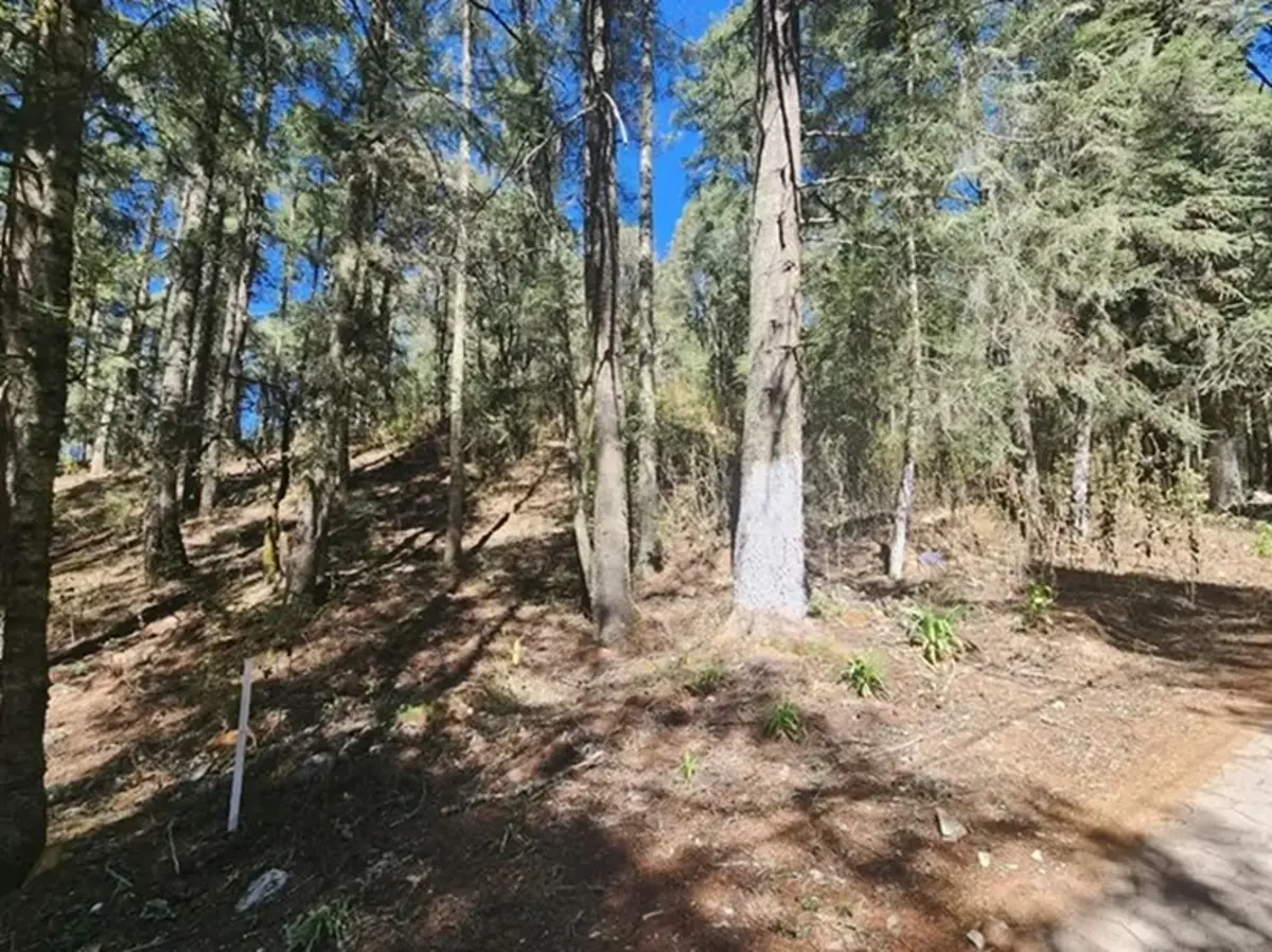 Terreno en venta en Mineral del Monte Centro, Mineral del Monte — foto 1 de 5