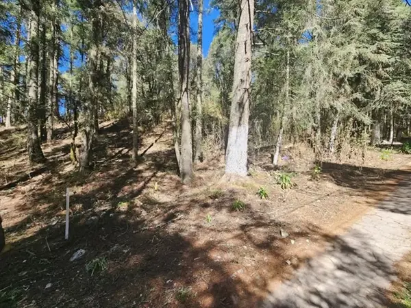 Terreno en venta en Mineral del Monte Centro, Mineral del Monte — foto 2 de 5