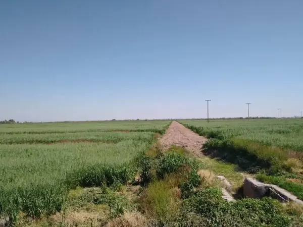 Rancho en Venta en Santa María de Arriba, Francisco I. Madero