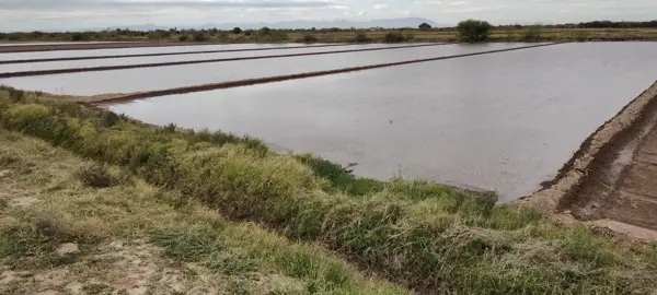 Finca-Rancho en venta en Santa María (Santa María de Arriba), Francisco I. Madero — foto 2 de 16