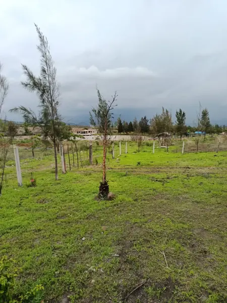 Finca-Rancho en venta en San Marcos, San Marcos — foto 3 de 42