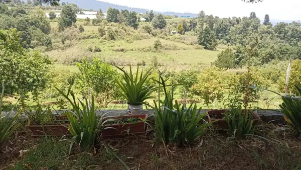 Terreno en venta en Mesa de Dolores Primera Sección (Mesa del Rayo), Valle de Bravo — foto 2 de 12