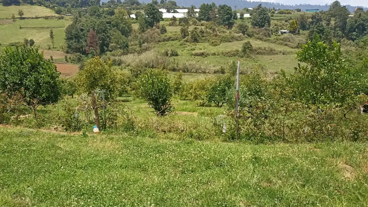 Terreno en venta en Mesa de Dolores Primera Sección (Mesa del Rayo), Valle de Bravo — foto 1 de 12