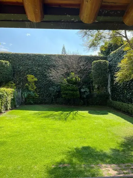 Casa en renta en Jardines del Pedregal, Álvaro Obregón — foto 2 de 14
