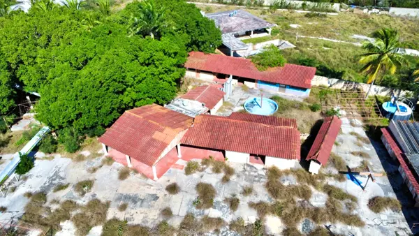 Terreno en venta en Tamanche, Mérida — foto 3 de 14