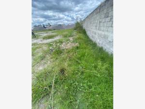 Terreno en venta en Chachapa, Amozoc — foto 3 de 8