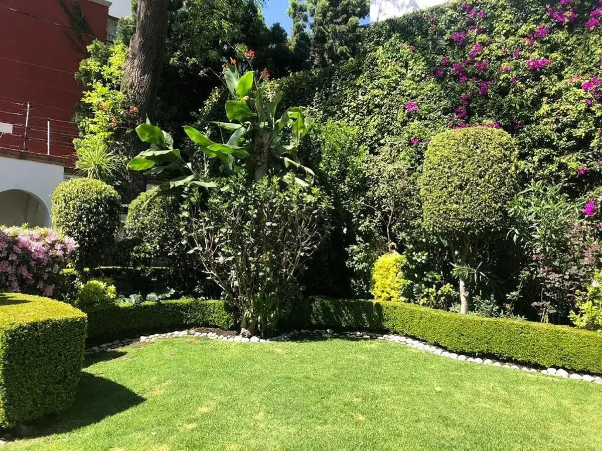 Casa en renta en San Angel, Álvaro Obregón — foto 1 de 8