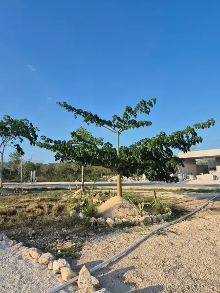 Terreno en venta en Cholul, Mérida — foto 3 de 13