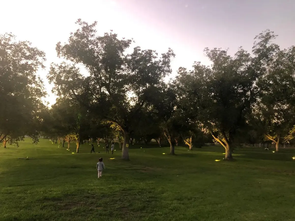 Terreno residencial en venta en Parras, Coahuila - Excelente ubicación en la zona PARVADA Terreno residencial en venta en Parras, Coahuila - Excelente ubicación en la zona PARVADA