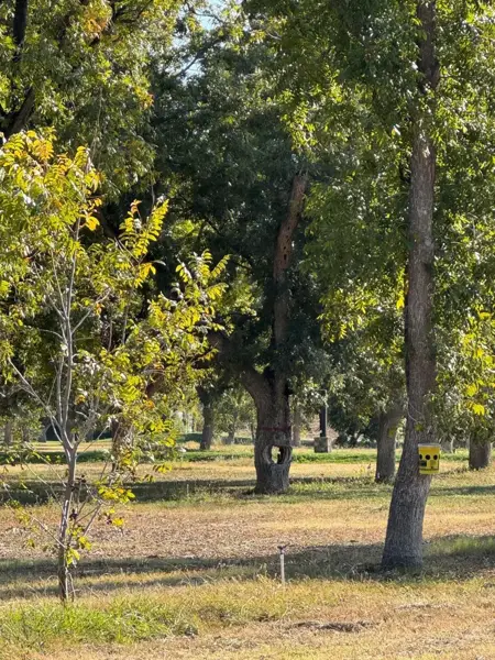 Terreno en venta en Parras, Parras — foto 2 de 2