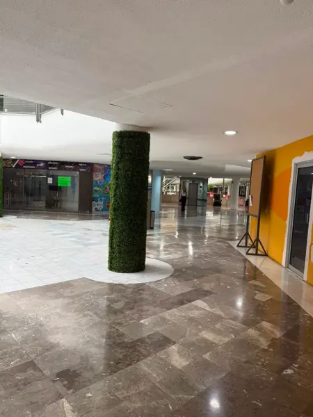 Local en renta en Del Valle, San Pedro Garza García — foto 3 de 10