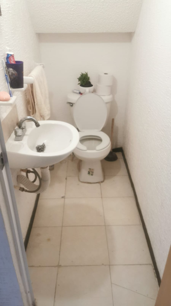 Casa en renta en Bosques de Matilde, Zempoala — foto 2 de 13