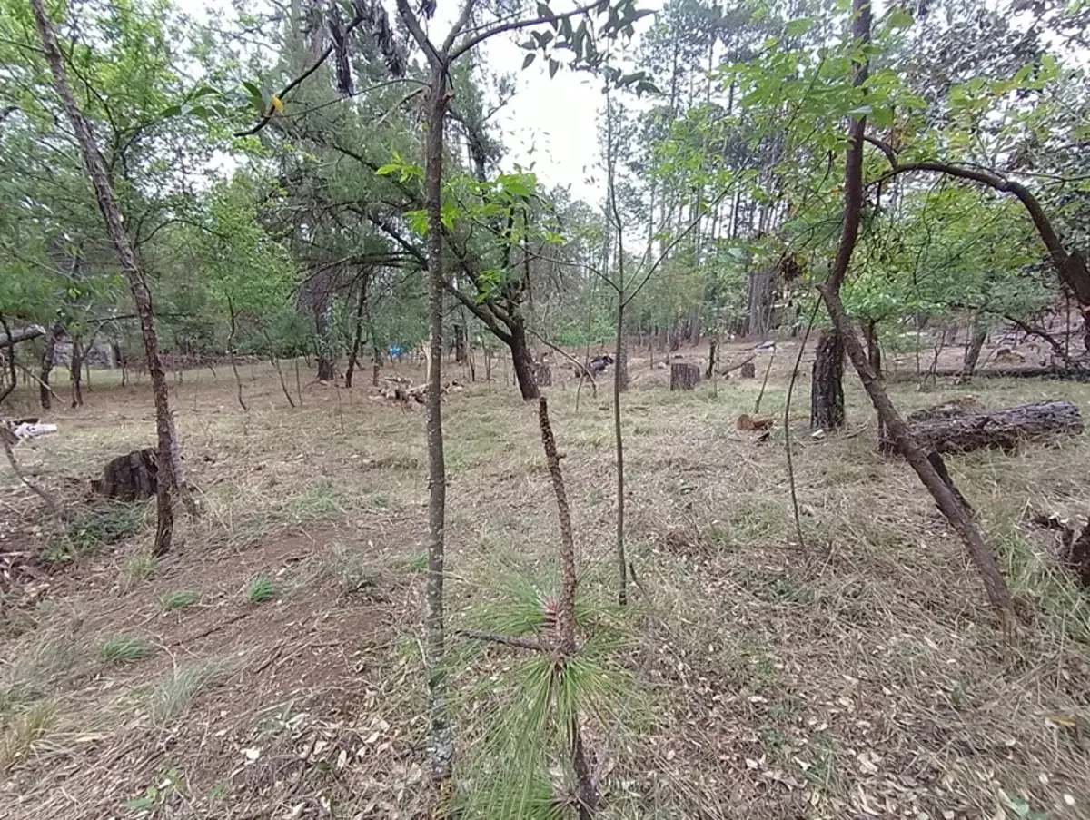 Terreno en venta en Bermúdez, Huasca de Ocampo — foto 1 de 9
